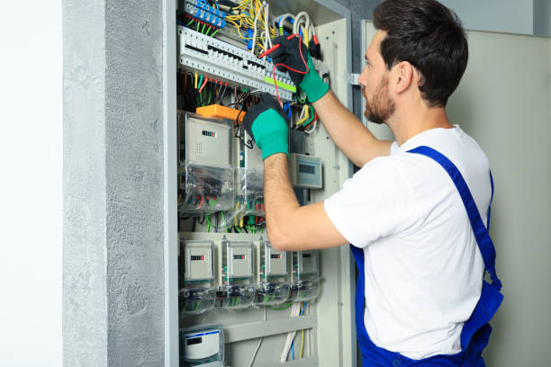 Best Local Electrician Companies  in Skagway, AK